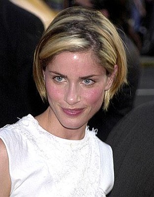 Amanda Peet