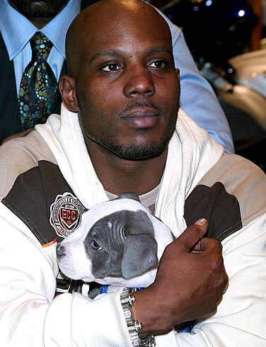 DMX