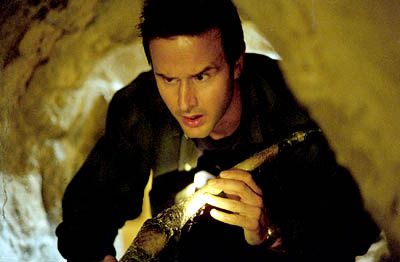 David Arquette