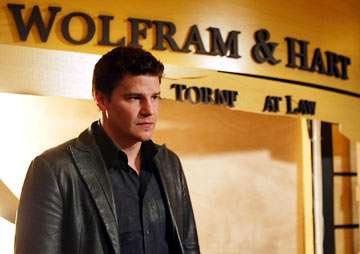 David Boreanaz