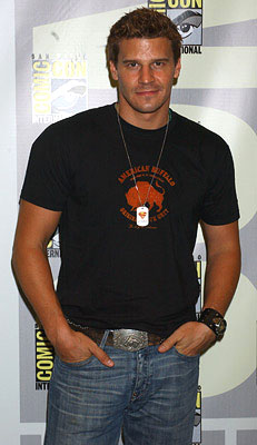 David Boreanaz