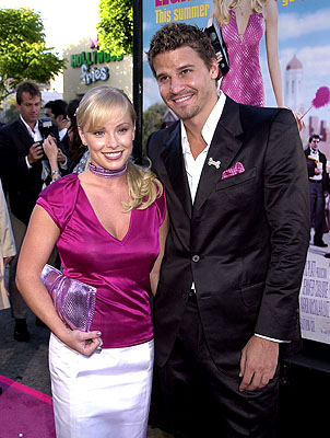 David Boreanaz