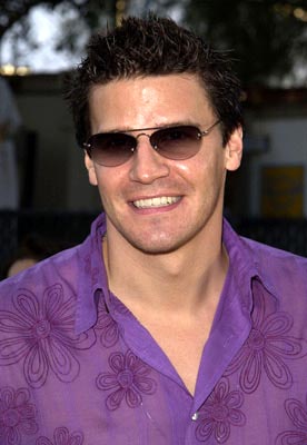 David Boreanaz