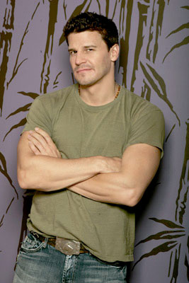 David Boreanaz