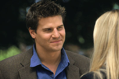 David Boreanaz
