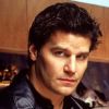 David Boreanaz