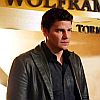 David Boreanaz