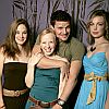 David Boreanaz