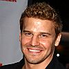 David Boreanaz