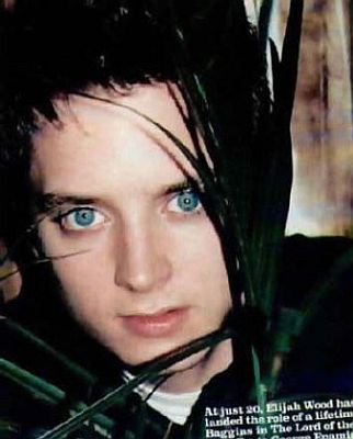 Elijah Wood