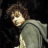 Elijah Wood