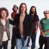 Incubus