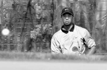 Tiger Woods
